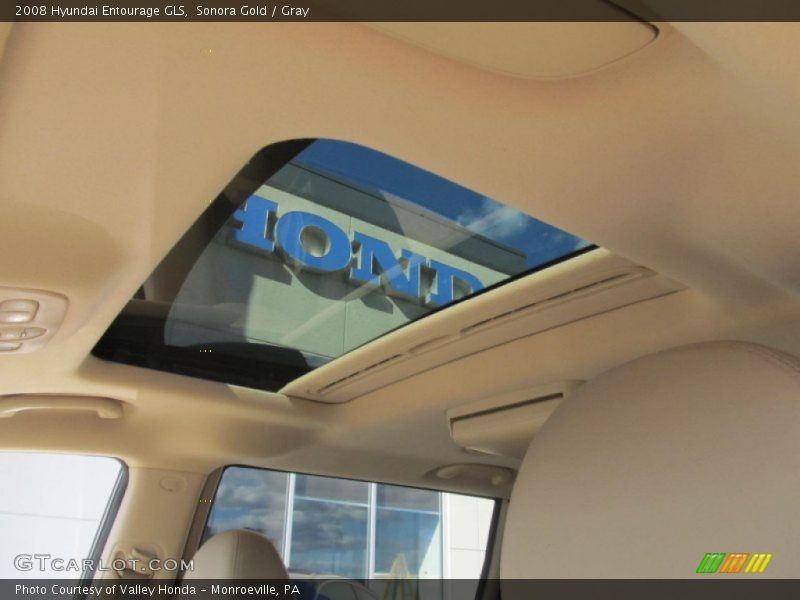 Sonora Gold / Gray 2008 Hyundai Entourage GLS