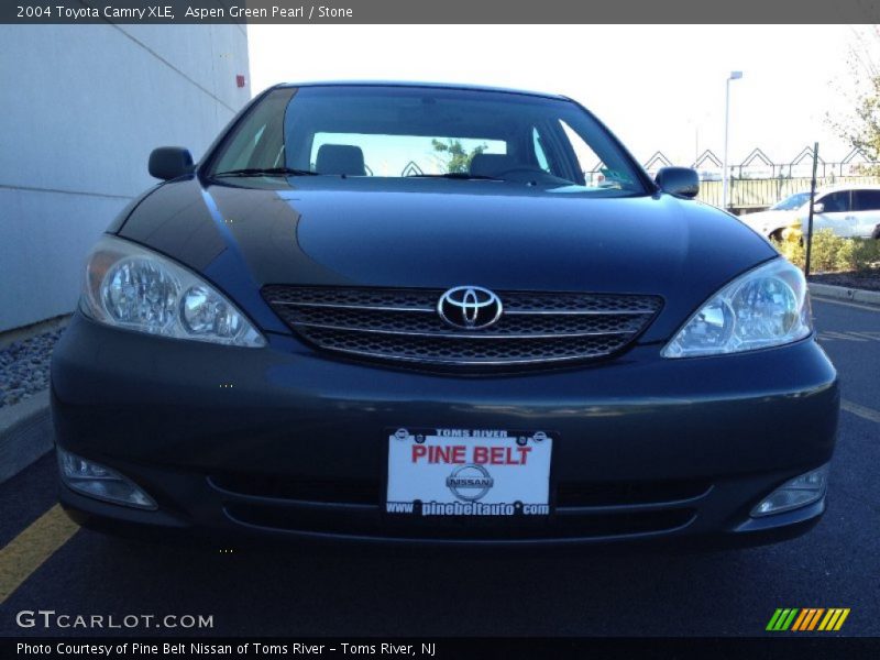 Aspen Green Pearl / Stone 2004 Toyota Camry XLE