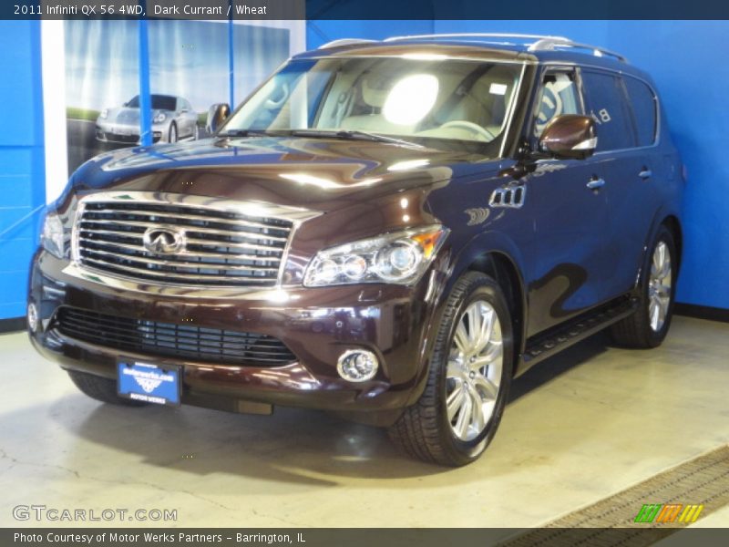 Dark Currant / Wheat 2011 Infiniti QX 56 4WD