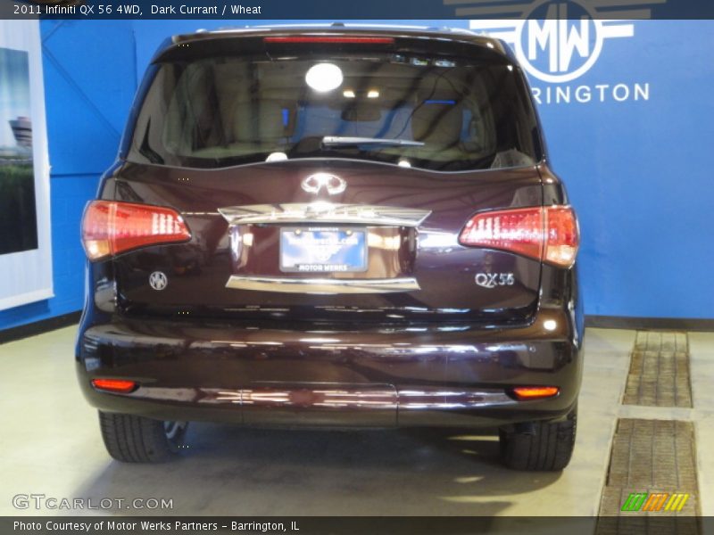 Dark Currant / Wheat 2011 Infiniti QX 56 4WD
