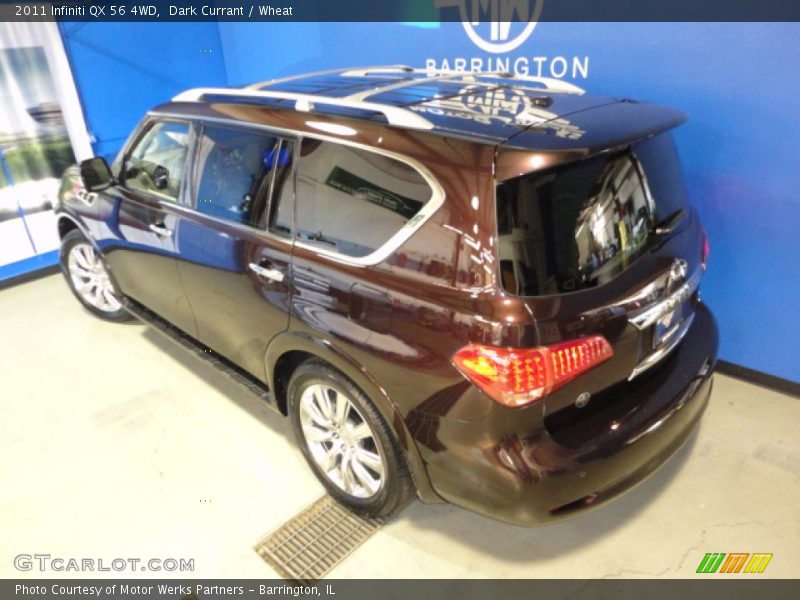 Dark Currant / Wheat 2011 Infiniti QX 56 4WD