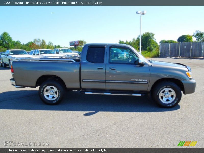 Phantom Gray Pearl / Gray 2003 Toyota Tundra SR5 Access Cab