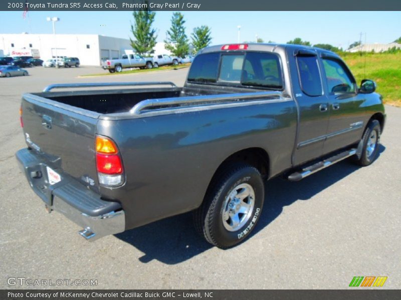 Phantom Gray Pearl / Gray 2003 Toyota Tundra SR5 Access Cab