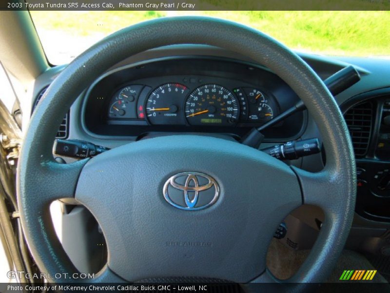 Phantom Gray Pearl / Gray 2003 Toyota Tundra SR5 Access Cab