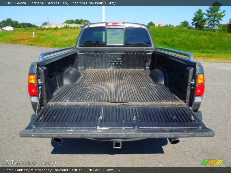 Phantom Gray Pearl / Gray 2003 Toyota Tundra SR5 Access Cab