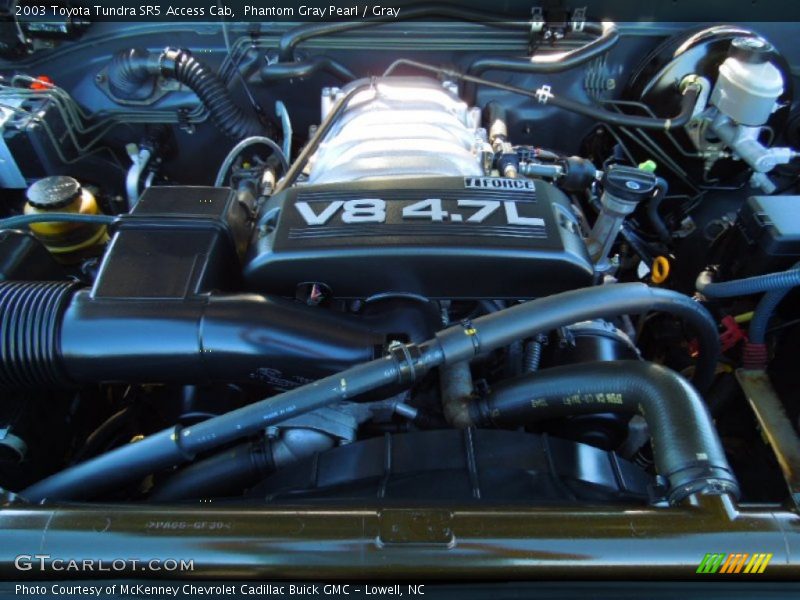 Phantom Gray Pearl / Gray 2003 Toyota Tundra SR5 Access Cab