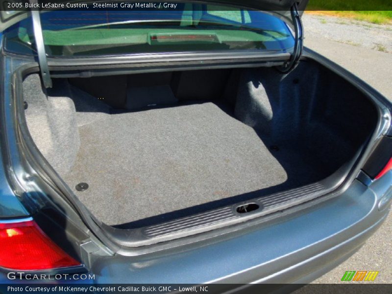 Steelmist Gray Metallic / Gray 2005 Buick LeSabre Custom