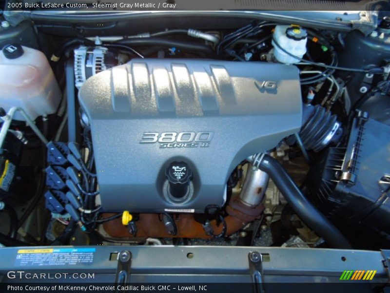 Steelmist Gray Metallic / Gray 2005 Buick LeSabre Custom