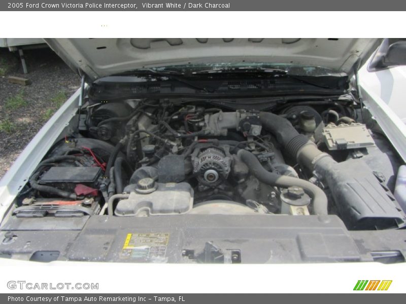 Vibrant White / Dark Charcoal 2005 Ford Crown Victoria Police Interceptor