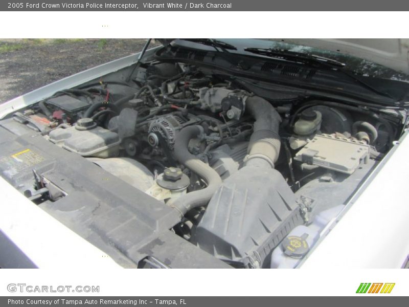 Vibrant White / Dark Charcoal 2005 Ford Crown Victoria Police Interceptor