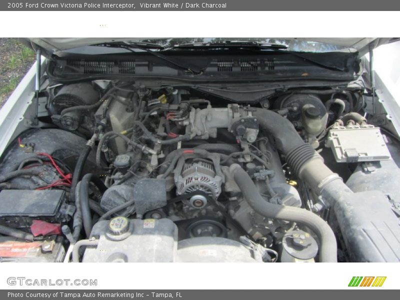  2005 Crown Victoria Police Interceptor Engine - 4.6 Liter SOHC 16-Valve V8