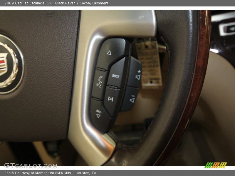 Black Raven / Cocoa/Cashmere 2009 Cadillac Escalade ESV