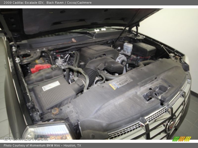 Black Raven / Cocoa/Cashmere 2009 Cadillac Escalade ESV