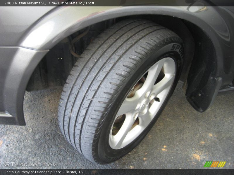 Gray Lustre Metallic / Frost 2000 Nissan Maxima SE