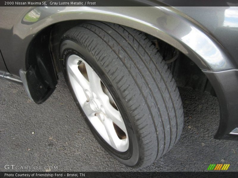 Gray Lustre Metallic / Frost 2000 Nissan Maxima SE