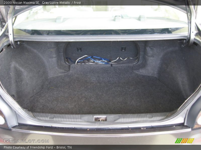 Gray Lustre Metallic / Frost 2000 Nissan Maxima SE