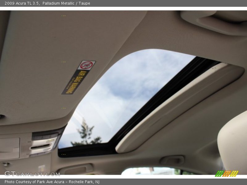 Palladium Metallic / Taupe 2009 Acura TL 3.5