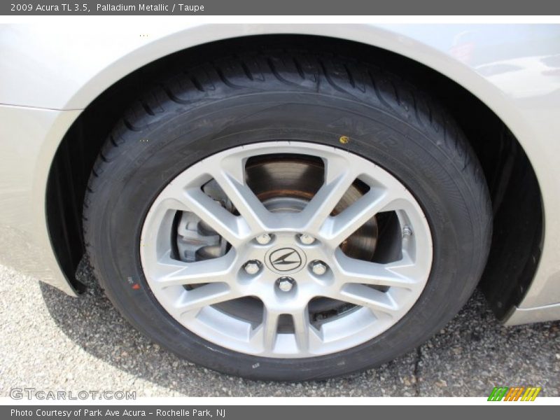 Palladium Metallic / Taupe 2009 Acura TL 3.5