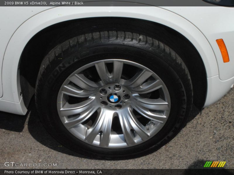 Alpine White / Black 2009 BMW X5 xDrive30i