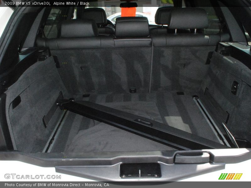 Alpine White / Black 2009 BMW X5 xDrive30i
