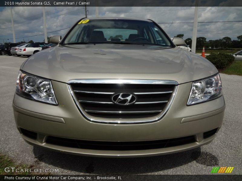 Camel Pearl / Camel 2010 Hyundai Sonata GLS