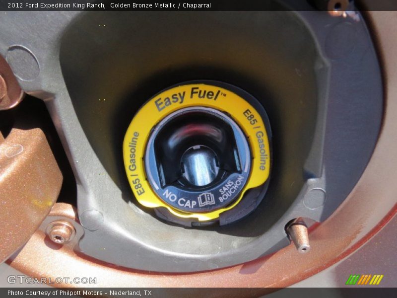 Golden Bronze Metallic / Chaparral 2012 Ford Expedition King Ranch