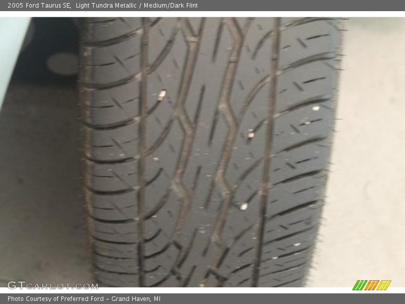 Light Tundra Metallic / Medium/Dark Flint 2005 Ford Taurus SE