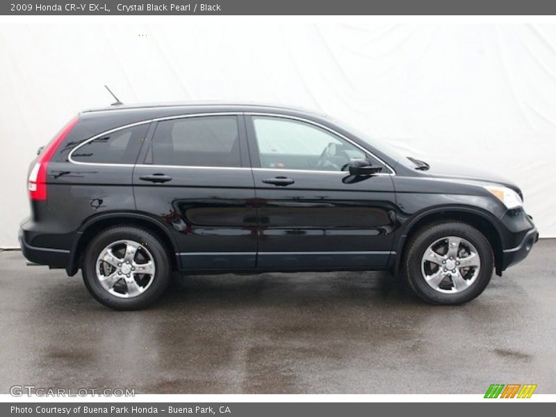 Crystal Black Pearl / Black 2009 Honda CR-V EX-L