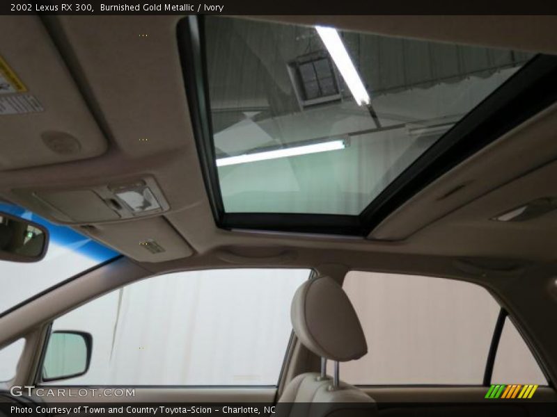 Burnished Gold Metallic / Ivory 2002 Lexus RX 300