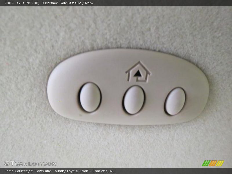Burnished Gold Metallic / Ivory 2002 Lexus RX 300