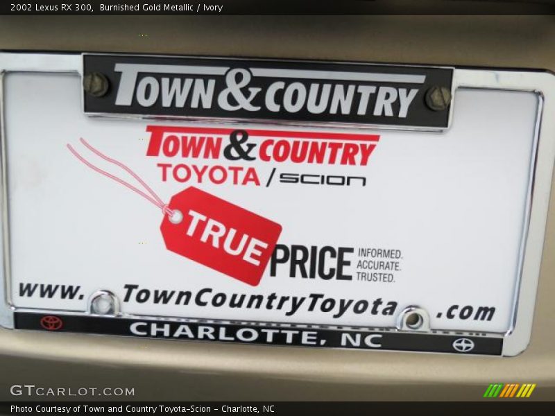 Burnished Gold Metallic / Ivory 2002 Lexus RX 300