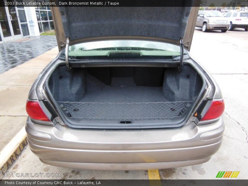 Dark Bronzemist Metallic / Taupe 2003 Buick LeSabre Custom