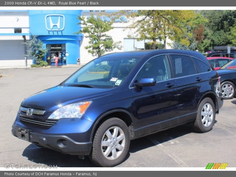 Royal Blue Pearl / Black 2009 Honda CR-V EX-L 4WD