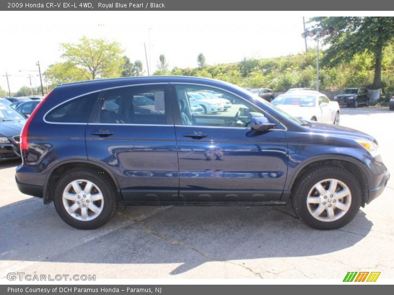 Royal Blue Pearl / Black 2009 Honda CR-V EX-L 4WD