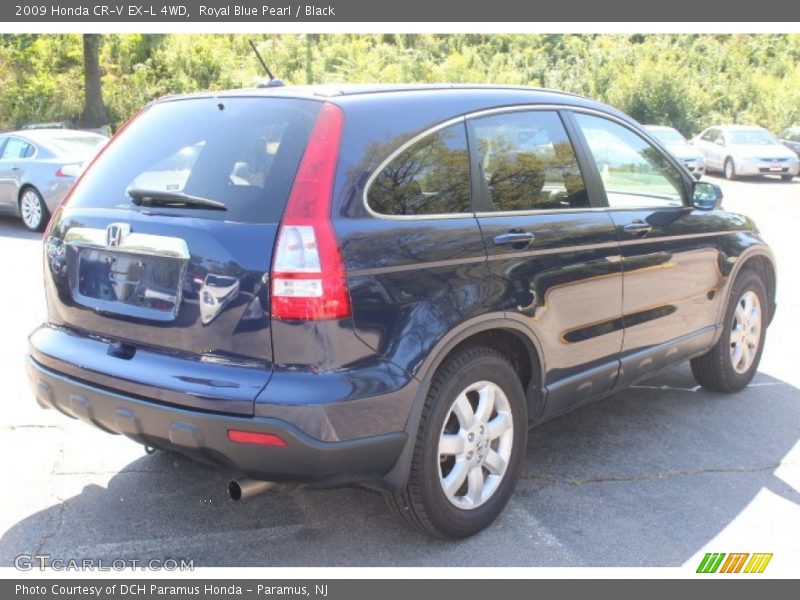 Royal Blue Pearl / Black 2009 Honda CR-V EX-L 4WD
