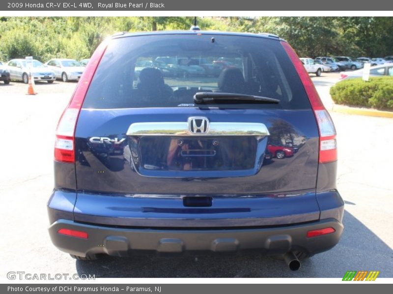 Royal Blue Pearl / Black 2009 Honda CR-V EX-L 4WD