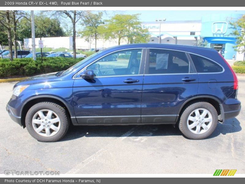 Royal Blue Pearl / Black 2009 Honda CR-V EX-L 4WD