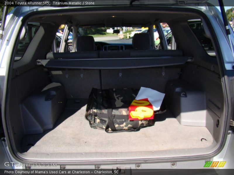 Titanium Metallic / Stone 2004 Toyota 4Runner SR5