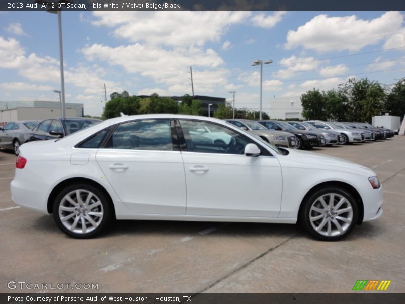 Ibis White / Velvet Beige/Black 2013 Audi A4 2.0T Sedan