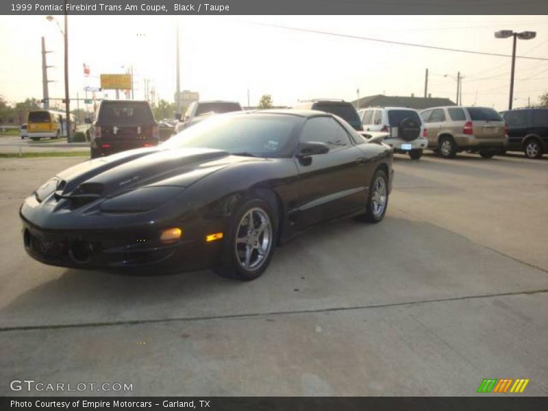Black / Taupe 1999 Pontiac Firebird Trans Am Coupe