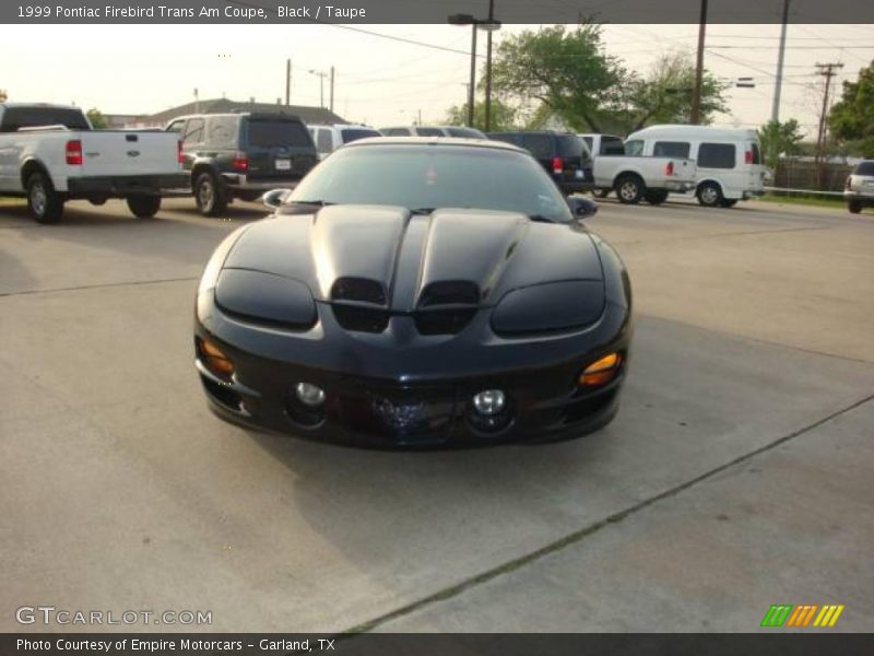 Black / Taupe 1999 Pontiac Firebird Trans Am Coupe