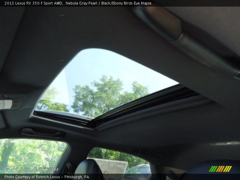 Nebula Gray Pearl / Black/Ebony Birds Eye Maple 2013 Lexus RX 350 F Sport AWD