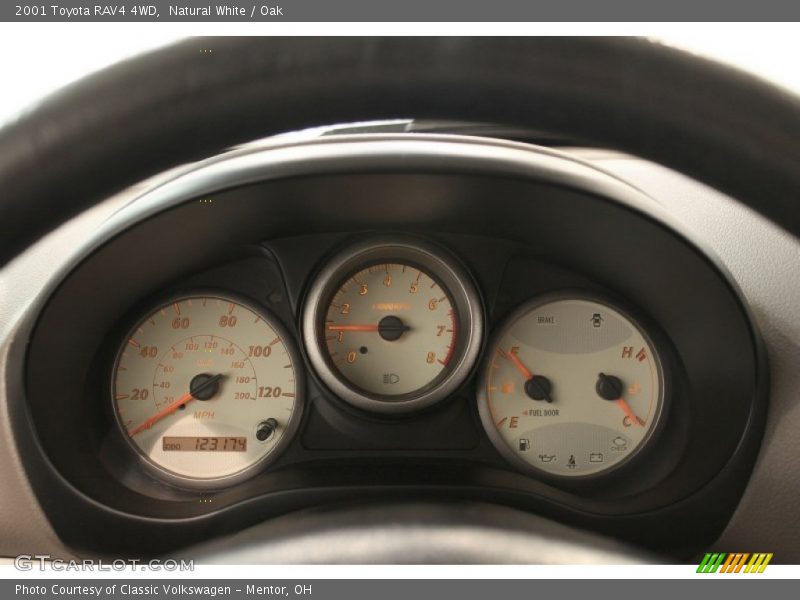 Natural White / Oak 2001 Toyota RAV4 4WD