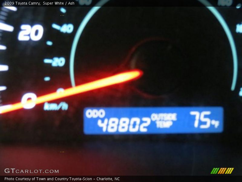 Super White / Ash 2009 Toyota Camry