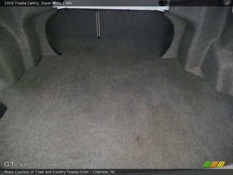 Super White / Ash 2009 Toyota Camry