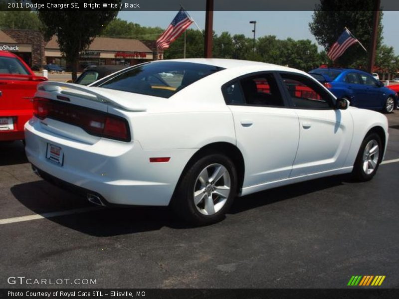 Bright White / Black 2011 Dodge Charger SE