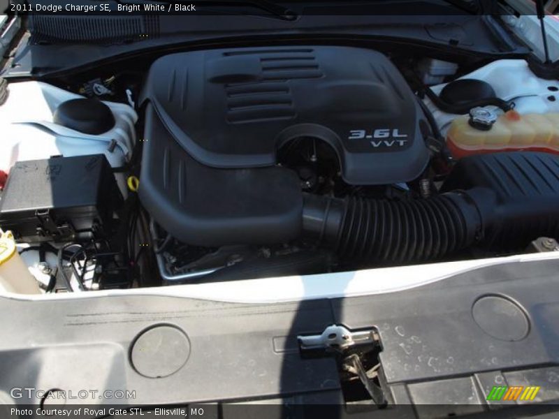 Bright White / Black 2011 Dodge Charger SE