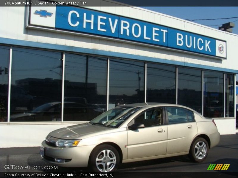 Golden Wheat / Tan 2004 Saturn ION 3 Sedan