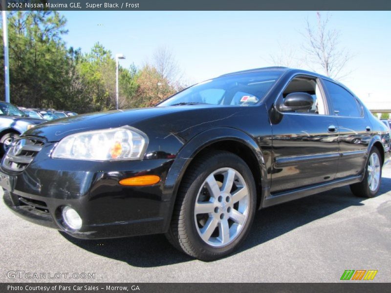 Super Black / Frost 2002 Nissan Maxima GLE