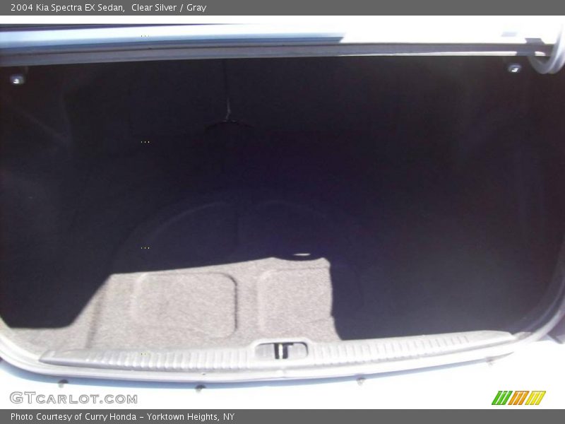Clear Silver / Gray 2004 Kia Spectra EX Sedan